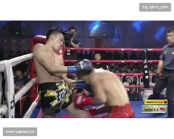 7大疯狂KO,一龙铁腿KO休克,拳坛姚明KO送医 7大疯狂KO,一龙铁腿KO休克,拳坛姚明KO送医